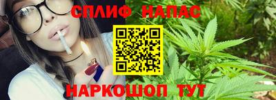 дмт Нальчик