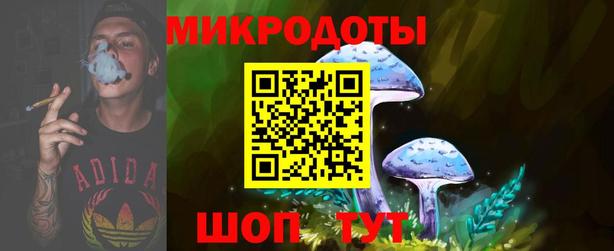 Псилоцибиновые грибы Cubensis  Вход с VPN  Галлюциногенные грибы Cubensis  Соль-Илецк 
